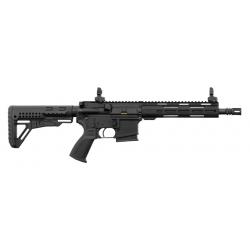 LDT - Carabine type AR1515 L4S 10.5'' 223 Rem