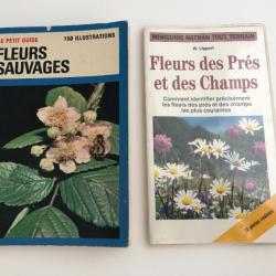 Fleurs sauvages, des prés et des champs lot 2 guides - Lippert & Raray