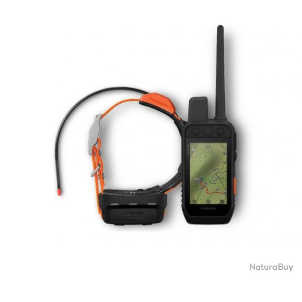 Pack Garmin ALPHA 200i + Collier T5 Version F - PROMO SAISON - Livraison offerte