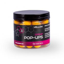 Pop Ups NASH Citruz 12mm 75g Yellow