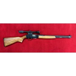 OCCASION B - WINCHESTER 190 22LR + LUNETTE