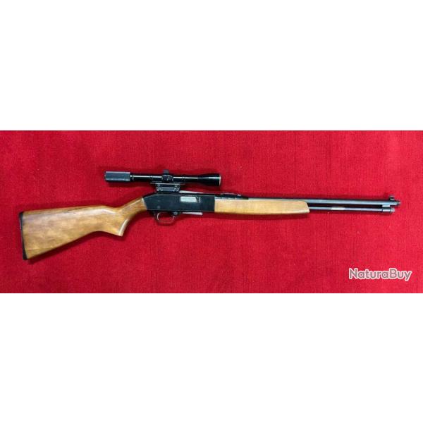 OCCASION B - WINCHESTER 190 22LR + LUNETTE