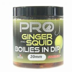 Bouillettes dans du DIP ginger starbaits sqd 24mm 150gr