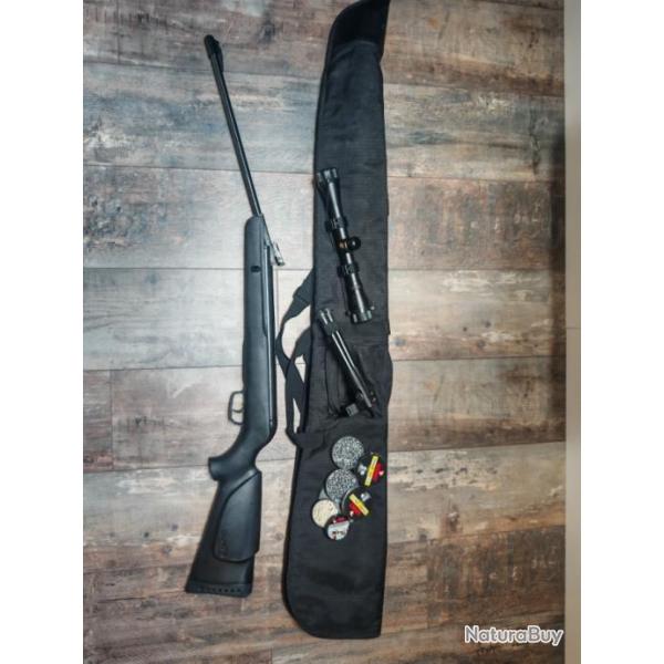 Carabine Gamo Big Cat 1000E noir