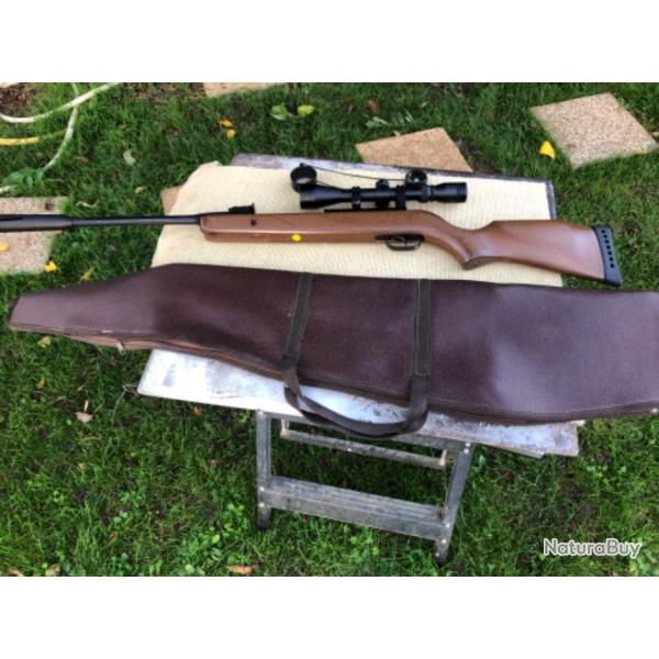 Carabine  air comprim Gamo Hunter CSI + Lunette 3-9X40 XR