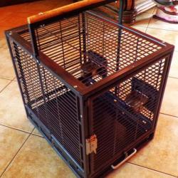 Cage transport perroquet