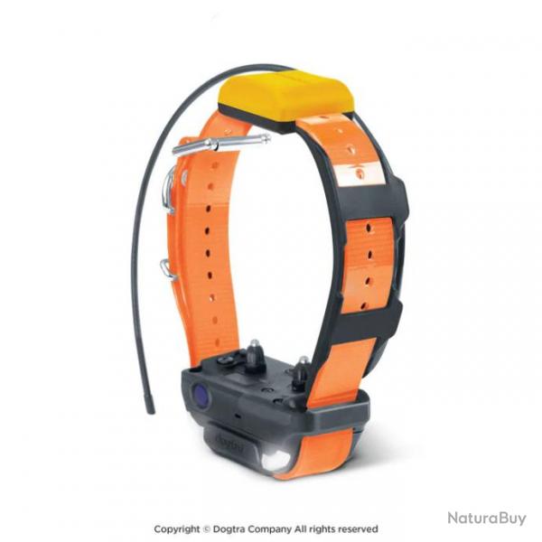 Collier supplmentaire Dogtra Pathfinder V2 - Orange