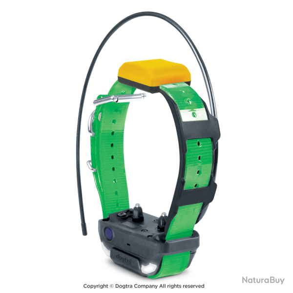 Collier supplmentaire Dogtra Pathfinder V2 - Vert