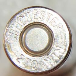 270 Winchester  pointe Jaune