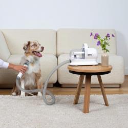 Aspirateur tondeuse pour animaux de compagnie