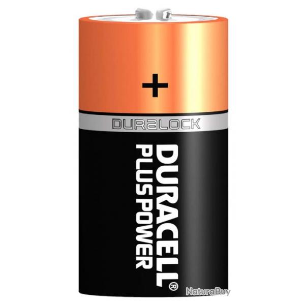 Piles alcalines D LR20 1,5 volt - Duracell