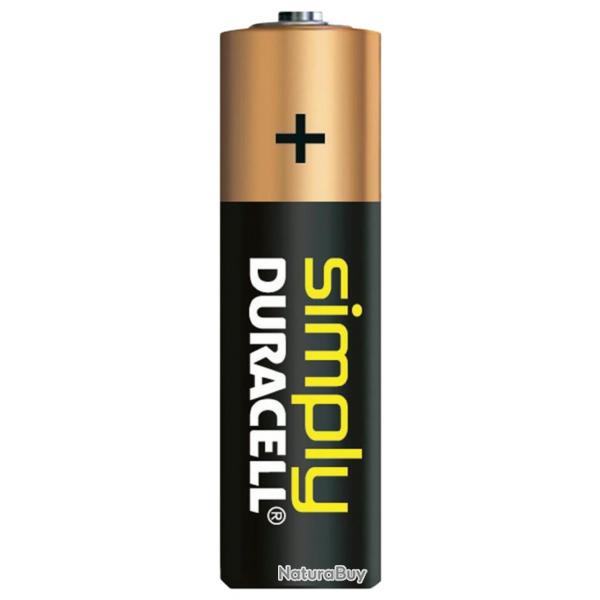 Piles alcalines AA LR6 1,5 volt - Duracell