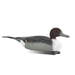 Forme de canard pilet male Stepland