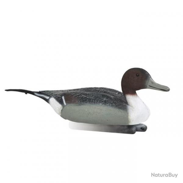 Forme de canard pilet male Stepland