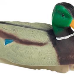 Forme de canard colvert male HD Stepland