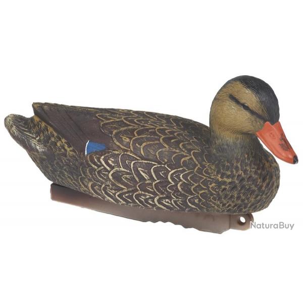 Forme de canard colvert femelle HD Stepland