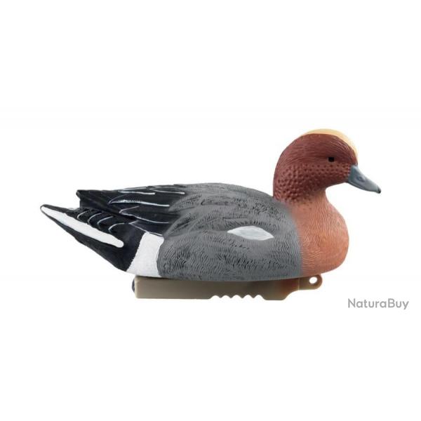 Forme de canard siffleur male HD Stepland