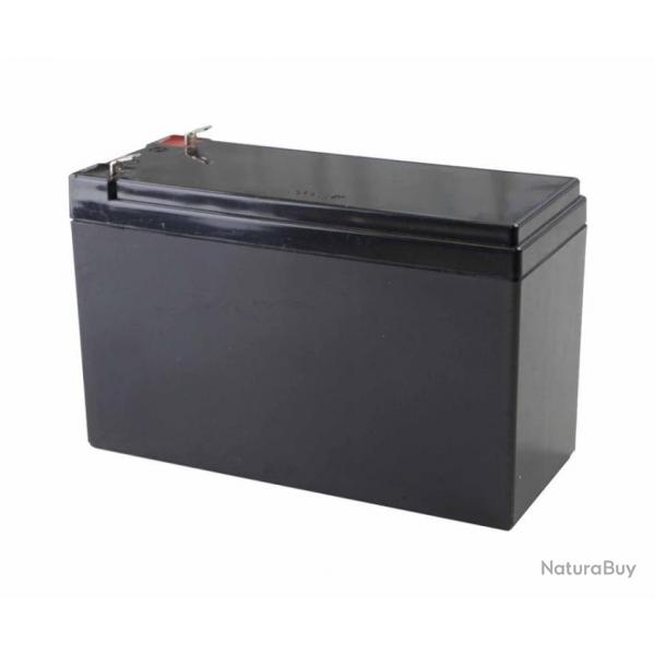 12V Batterie rechargable