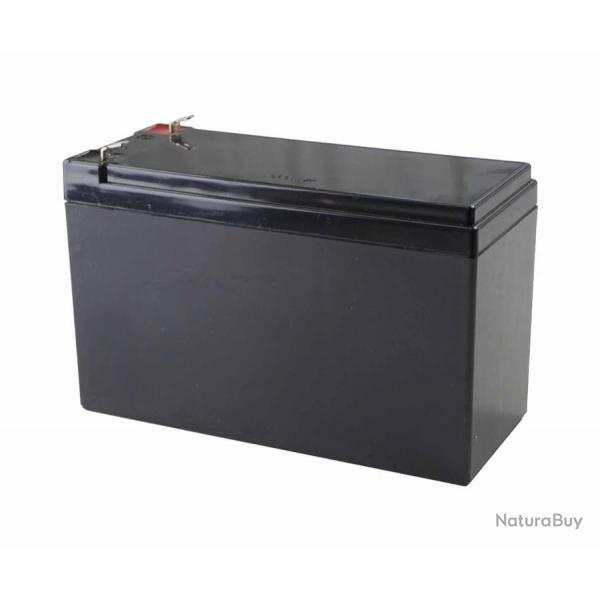 12V Batterie rechargable