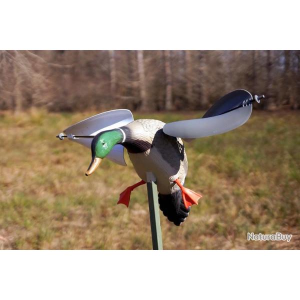 Colvert  ailes tournantes  vent Mojo