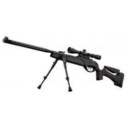 GAMO CARABINE HPA IGT 19.9 JOULES 4.5 MM + LUNETTE 3-9 X 40 WR + BIPIED