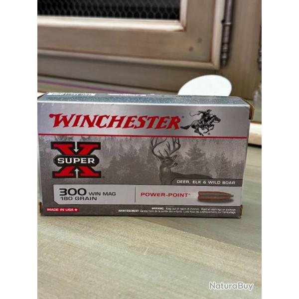 BALLES WINCHESTER x super 300 win mag