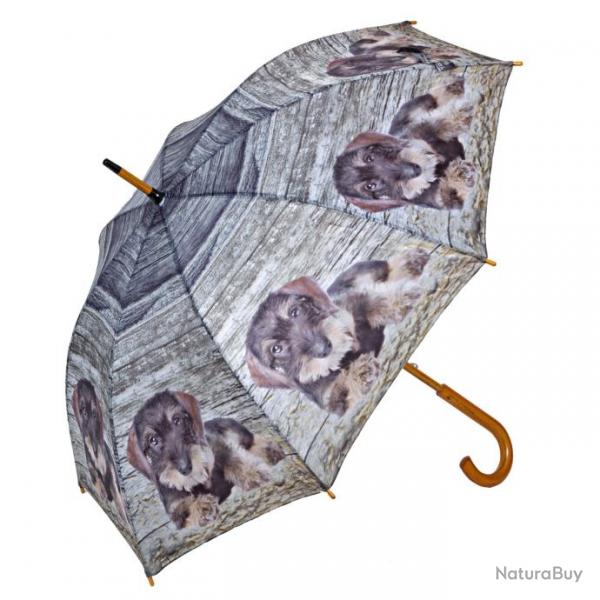 Parapluie motif teckel