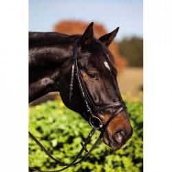 PROMO Bridon standard cuir noir pour cheval de selle (Taille 4)