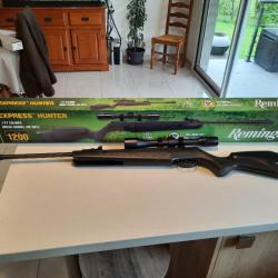 Carabine air comprimé REMINGTON19 joules