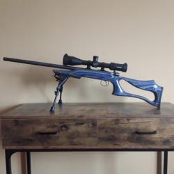 Carabine CZ 455 EN 17 hmr