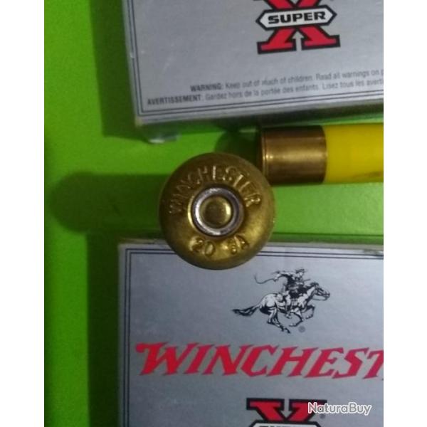 2 Boites de 5 Balles Winchester slug 20/70