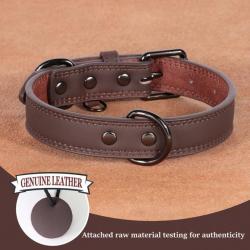 Collier pour chien en cuir marron - LIVRAISON GRATUITE