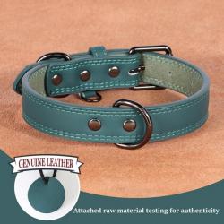 Collier pour chien en cuir vert - LIVRAISON GRATUITE