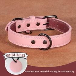 Collier pour chien en cuir rose - LIVRAISON GRATUITE