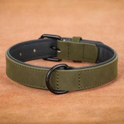 Collier vert foncé en cuir pour chien - LIVRAISON GRATUITE