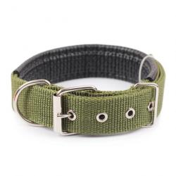 Collier pour chien en nylon vert - LIVRAISON GRATUITE