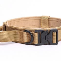 Collier pour chien type militaire beige