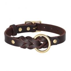 Collier pour chien en cuir marron et doré - LIVRAISON GRATUITE