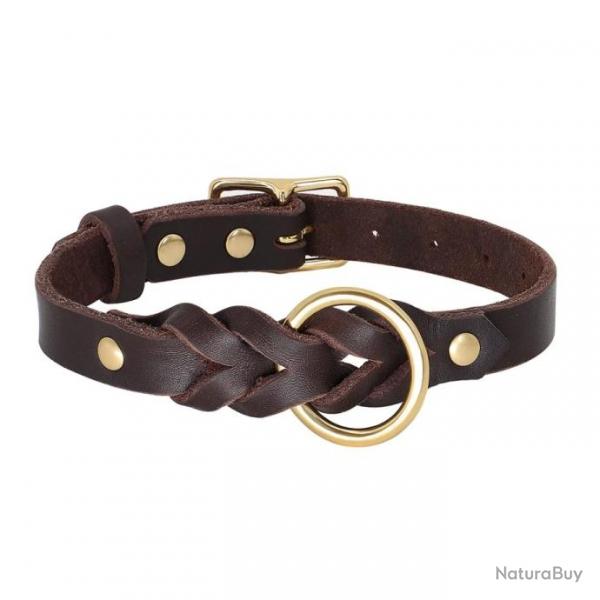 Collier pour chien en cuir marron et dor - LIVRAISON GRATUITE