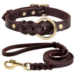 Collier + laisse pour chien en cuir marron - LIVRAISON GRATUITE