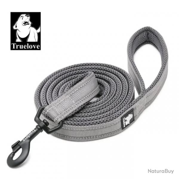 Laisse pour chien grise largeur 2cm longueur 2m - LIVRAISON GRATUITE