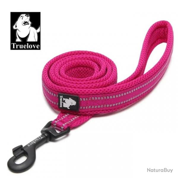 Laisse fuchsia pour chien largeur 1cm longueur 2m - LIVRAISON GRATUITE