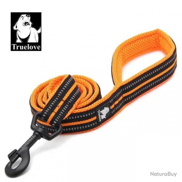 Laisse orange pour chien largeur 2cm longueur 2m - LIVRAISON GRATUITE