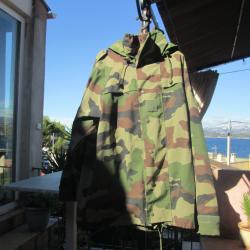 veste  de l'armée