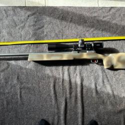 Carabine CUSTOM ARMECA SAVAGE 260 Remington