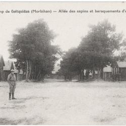 CPA MILITARIA  -  CAMP DE COËTQUIDAN  -  ALLÉE DES SAPINS ET BARAQUEMENTS D'ARTILLERIE