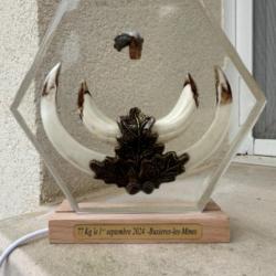 Trophée de chasse