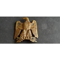 PETITE AIGLE DE GIBERNE