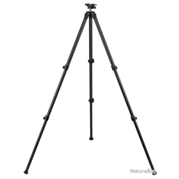 Trpied Audre Shadow