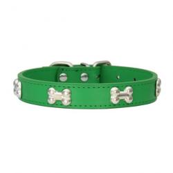 Collier pour chien en cuir vert avec décoration